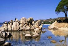 5连胜第一！女排又一21岁主攻崛起：5战轰111分变李盈莹新绝配？.